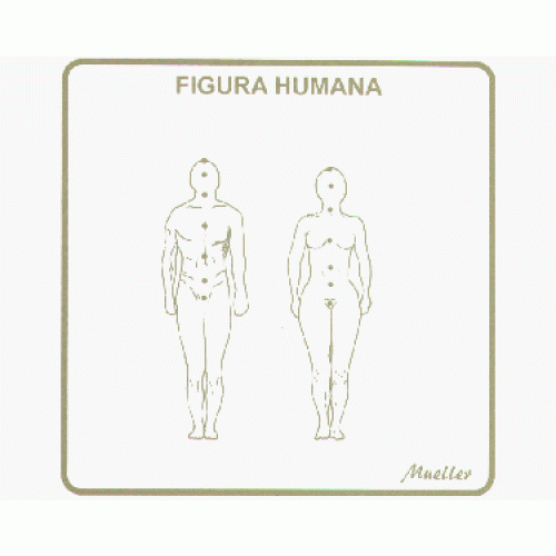 Figura Humana